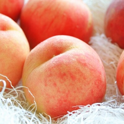 【鮮度バツグン】【農家直送】桃名産地「山梨の桃」　秀品　 約3kg