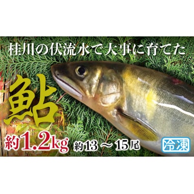 山梨県産　桂川の冷凍あゆ　約1.2kg(約13～15尾)