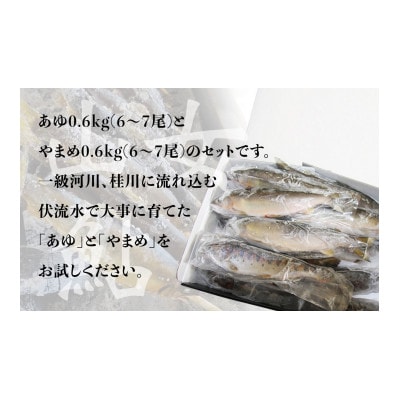 山梨県産　桂川の冷凍あゆ・やまめセット　計:約1.2kg(約12～14尾)