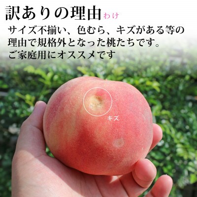 山梨県のもも　約2kg(訳あり品)