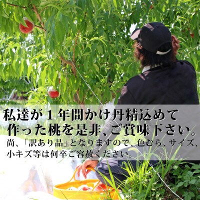 山梨県のもも　約2kg(訳あり品)