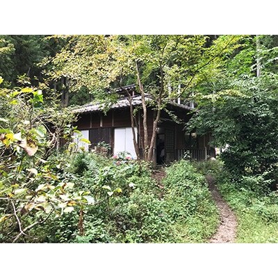 薬草膳処　じゅん庵　薬草料理　お食事券　お薦めコース　