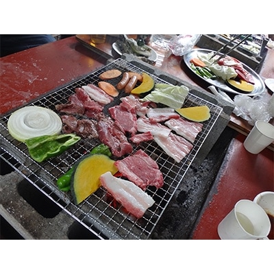 渓流釣り体験と炭火焼きバーベキューコース(4名様)