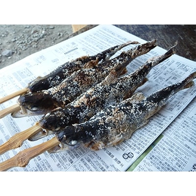 渓流釣り体験と炭火焼きバーベキューコース(4名様)