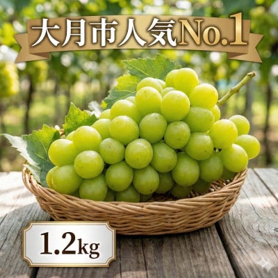 【2026年収穫分先行受付】鮮度抜群 産地直送シャインマスカット2房(約1.2kg)