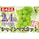 【2026年収穫分先行受付】鮮度抜群 産地直送シャインマスカット3～4房(約2.4kg)