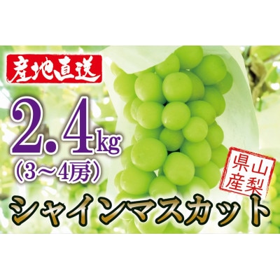 【2025年収穫分先行受付】鮮度抜群 産地直送シャインマスカット3～4房(約2.4kg)