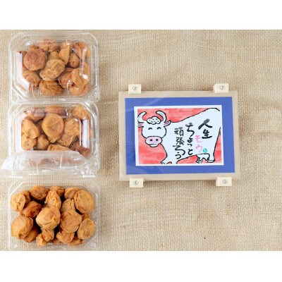 天日干し梅干し700gと手作り木工品(額縁)のセット