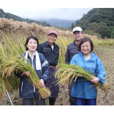 令和4年産　山梨県大月市産ひとめぼれ3kgと梅干し(250g×1パック)と木工品(額)のセット