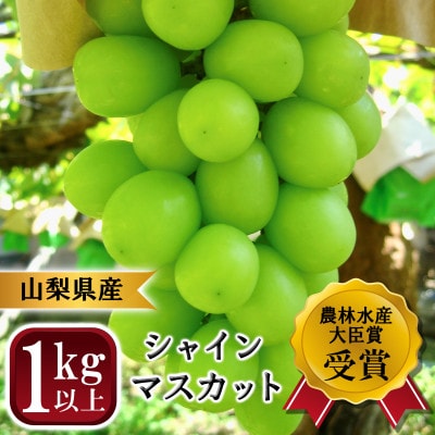 【9月より順次発送予定】山梨県産　朝採りで極めて美味しいシャインマスカット　2房　計約1kg以上