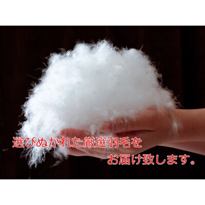 A-1 厳選羽毛掛けふとん ホワイトダウン85% 充填量1.1kg シングル 【ベージュ】