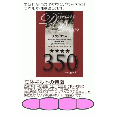 A-4厳選羽毛掛けふとん ホワイトダウン85% 充填量1.1kg 柄おまかせ シングル 【ブルー系】