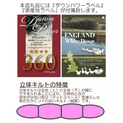 A-12 厳選羽毛掛けふとん イングランド産ホワイトダウン90% 1.7kg  ダブル 【ベージュ】