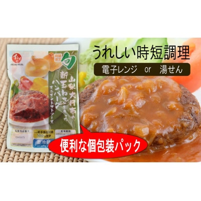 【先行予約】総重量1.7kg!オニオントマトソースハンバーグ10個セット　2025年7月より順次発送
