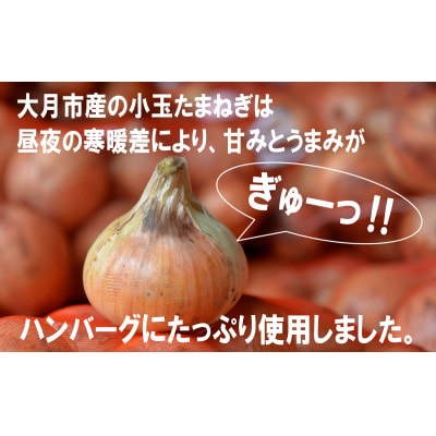【先行予約】総重量1.7kg!オニオントマトソースハンバーグ10個セット　2025年7月より順次発送