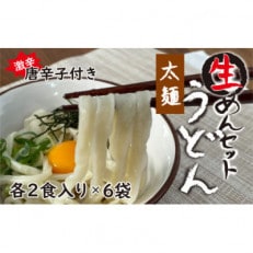 生うどん太麺6袋セット 自家製激辛とうがらし付き