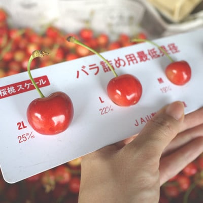 先行予約 さくらんぼ 紅秀峰 秀2Lサイズ 700g (350gx2パック