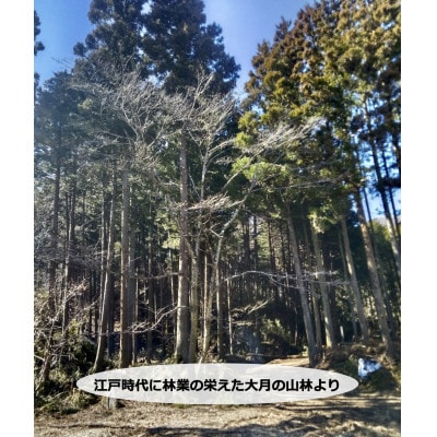 【大月のびの放牧羊】ジンギスカンラム肉　400g(200g×2パック)
