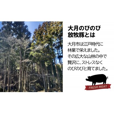 大月のびのび放牧豚【お楽しみ4品セット】肩ロース150g×2モモ300g切落し300gひき肉500g