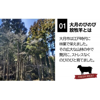 大月のびのび放牧羊【ラムチョップ&ラムバラ肉セット】ラムチョップ2本(約200g)・バラ