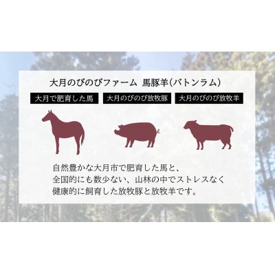【バトンラム(馬豚羊)】ソフトサラミソーセージ・ボロニアサラミソーセージ・ウインナーソーセージ