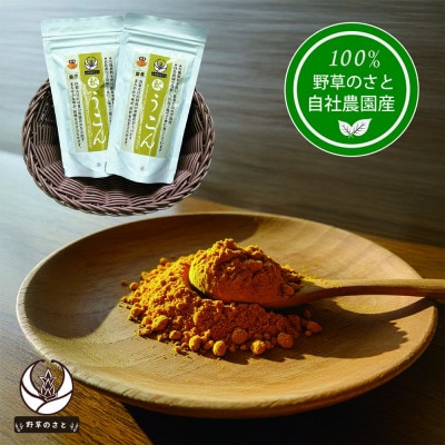 粉末秋うこん100g〔2パック〕