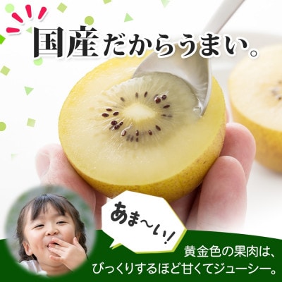 大月市の美味しいキウィ おおつきうぃ ゴールドキウイ 900g以上 9個 杉本農園 山梨県