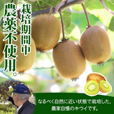 大月市の美味しいキウィ おおつきうぃ ゴールドキウイ 900g以上 9個 杉本農園 山梨県