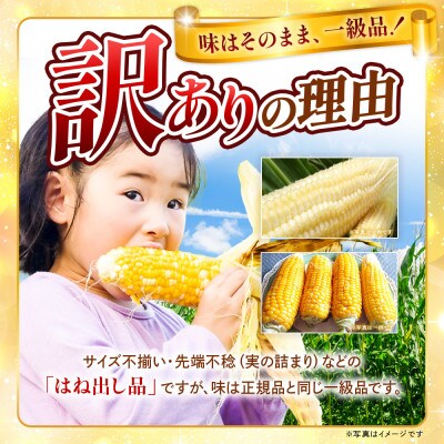 【2026年収穫分先行予約】【訳あり】富士山 恵味ゴールド トウモロコシ　10～15本