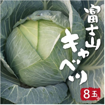 【2026年出荷分先行予約】富士山キャベツ　8玉(9kg)