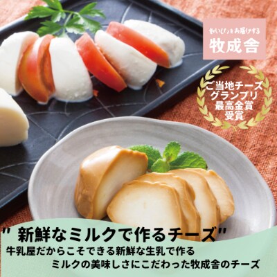 明治30年創業の牛乳屋 牧成舎 飛騨のチーズセット 3個入り お礼品詳細 ふるさと納税なら さとふる