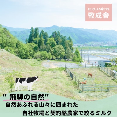 【2023年11月中旬発送】＜明治30年創業の牛乳屋・牧成舎＞飛騨の低温殺菌牛乳&ヨーグルトセット