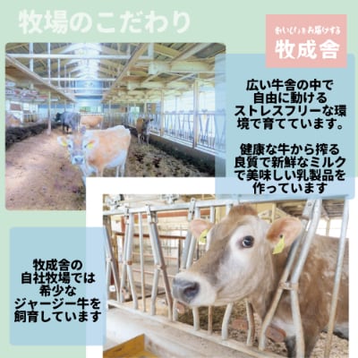 【2023年11月中旬発送】＜明治30年創業の牛乳屋・牧成舎＞飛騨の低温殺菌牛乳&ヨーグルトセット