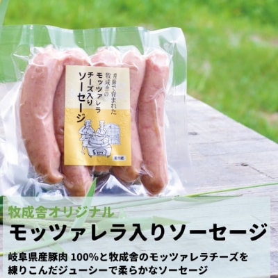 ＜明治30年創業の牛乳屋・牧成舎＞飛騨のチーズ4種とモッツァレラ入りソーセージ