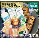 明治30年創業の牛乳屋「牧成舎」飛騨の贅沢乳製品セットC