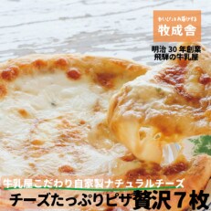 ピザのお礼品・返礼品一覧  ふるさと納税サイト「さとふる」