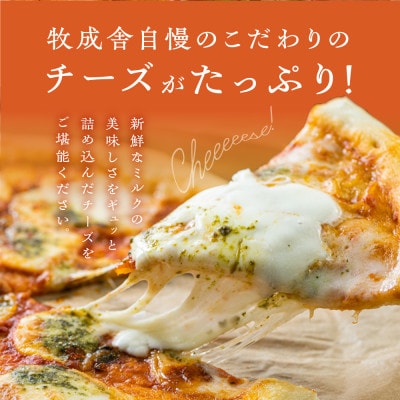 【牧成舎】<さとふる限定>飛騨のチーズ屋が作った、チーズたっぷりピザ贅沢7枚セット C