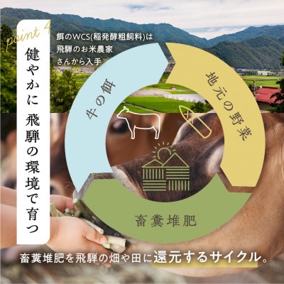 飛騨の牛乳屋・牧成舎のこだわりヨーグルト3種セット(合計29個)