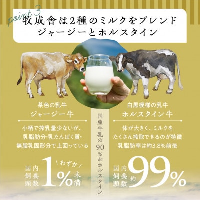 飛騨の牛乳屋・牧成舎の食べ応え抜群!飛騨のミルクで作るカップヨーグルトセット(2種合計30個)