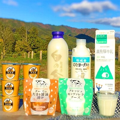 飛騨の牛乳屋、よりどり牛乳&ヨーグルト&チーズセット
