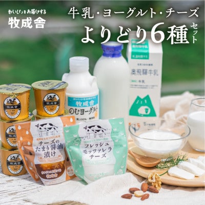 飛騨の牛乳屋・牧成舎のよりどり牛乳&ヨーグルト&チーズセット