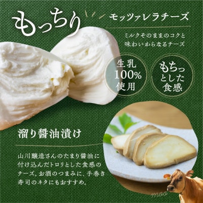 飛騨の牛乳屋・牧成舎のよりどり牛乳&ヨーグルト&チーズセット