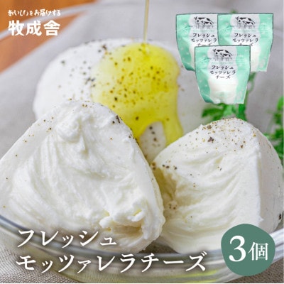 飛騨の牛乳屋・牧成舎の飛騨のフレッシュモッツァレラチーズ3個セット