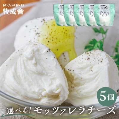 飛騨の牛乳屋・牧成舎の飛騨のフレッシュモッツァレラチーズ5個セット