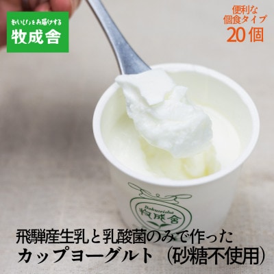 飛騨の牛乳・牧成舎の砂糖不使用プレーンヨーグルト20個