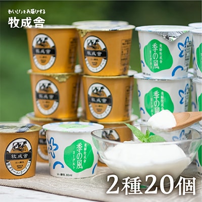 【毎月定期便】飛騨の牛乳屋・牧成舎のこだわりカップヨーグルト20個セット全3回