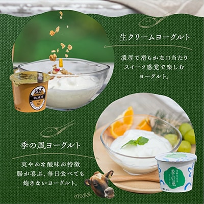 【毎月定期便】飛騨の牛乳屋・牧成舎のこだわりカップヨーグルト20個セット全3回