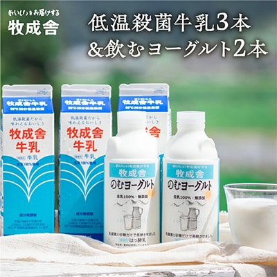 【2週間毎定期便】 飛騨の牛乳屋・牧成舎の低温殺菌牛乳3本&のむヨーグルト2本全12回
