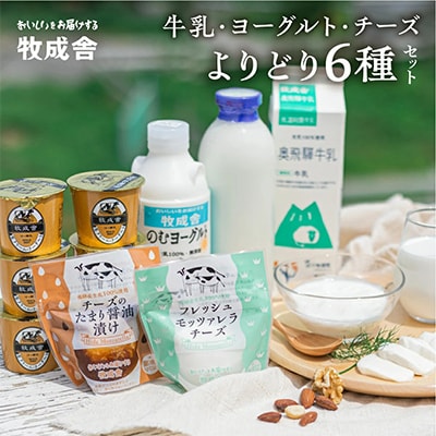 【毎月定期便】飛騨の牛乳屋・牧成舎のよりどり牛乳&ヨーグルト&チーズセット全3回
