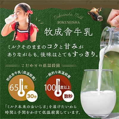 【毎月定期便】飛騨の牛乳屋・牧成舎のよりどり牛乳&ヨーグルト&チーズセット全3回